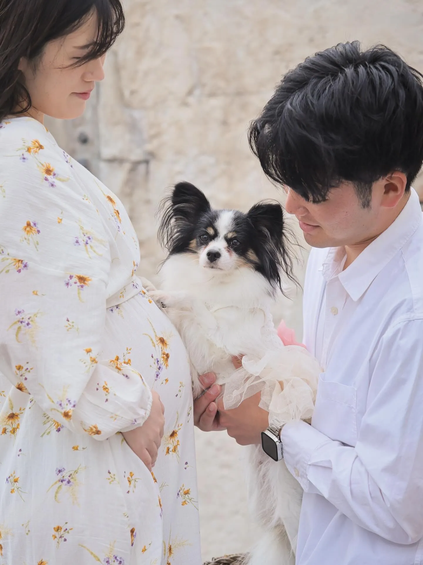 ワンちゃん🐶も一緒にマタニティフォト📸