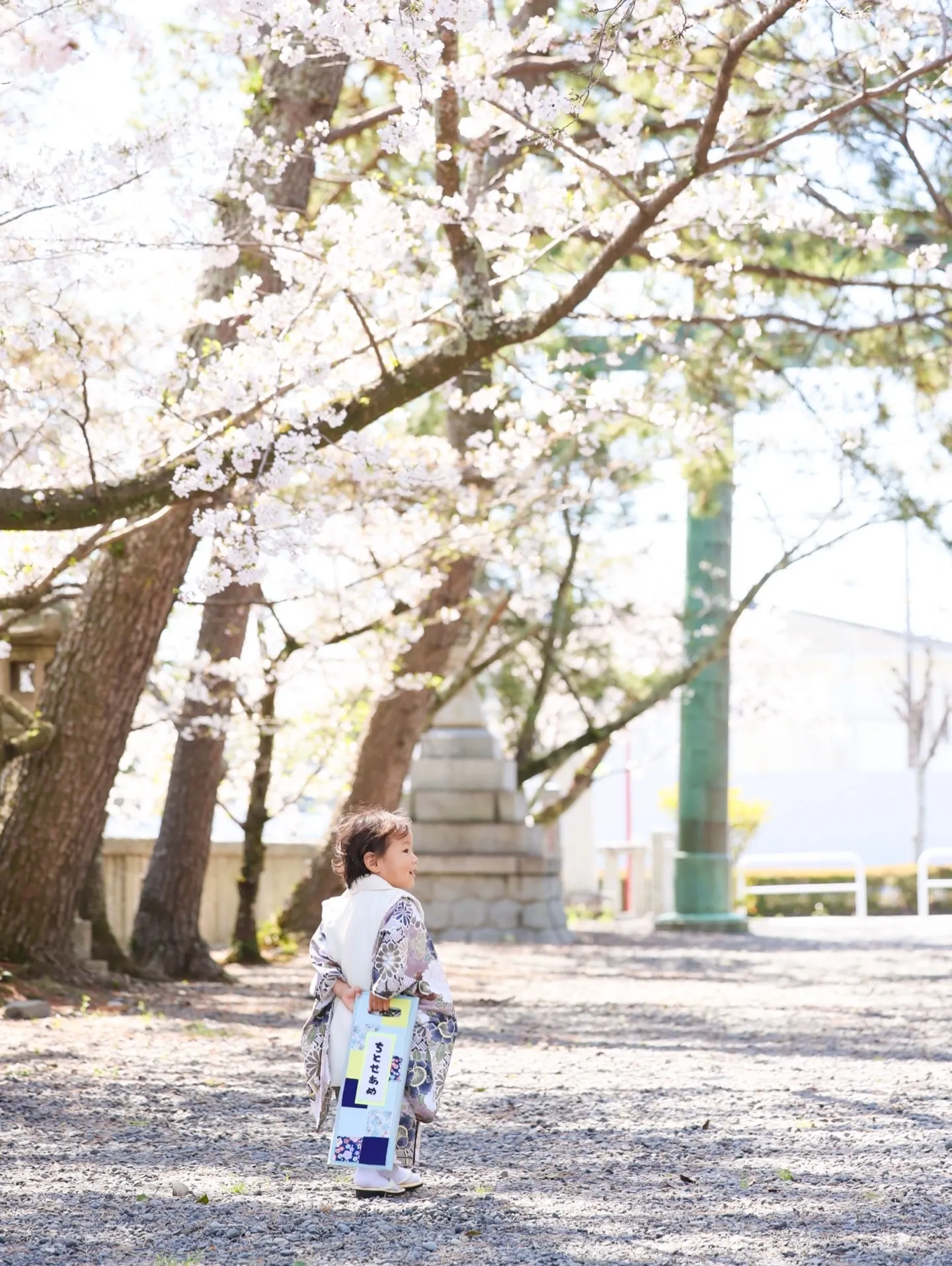 ロケーション撮影☀️｡°
